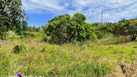 Land for sale in Mantija, Cebu