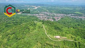 Land for sale in Casipo, Tarlac