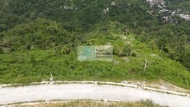 Land for sale in Guadalupe, Cebu