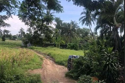 Land for sale in Pakigne, Cebu