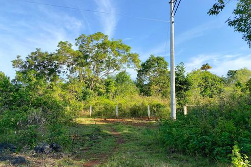 Land for sale in Libaong, Bohol