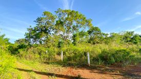 Land for sale in Libaong, Bohol