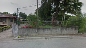 Land for sale in Cogon, Bohol