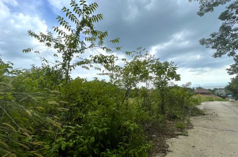 ขายที่ดิน ใน หนองทะเล, เมืองกระบี่