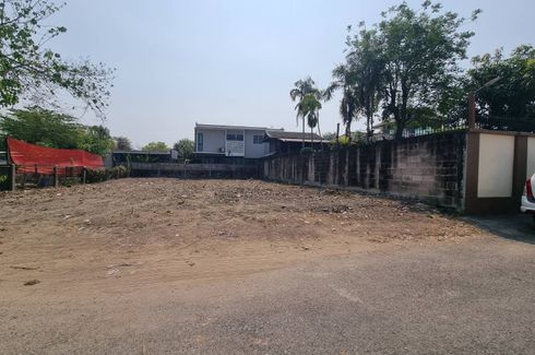 Land for sale in San Phak Wan, Chiang Mai