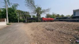 Land for sale in San Phak Wan, Chiang Mai