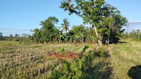 Land for sale in Del Monte, Bohol