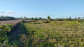 Land for sale in Del Monte, Bohol