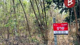 Land for sale in Wang Phikun, Phitsanulok