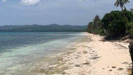Land for sale in Candanay Sur, Siquijor