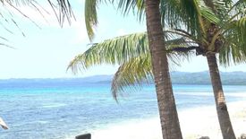 Land for sale in Candanay Sur, Siquijor