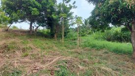 Land for sale in Bucal, Cavite