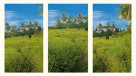 Land for sale in Benolho, Leyte