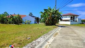 Land for sale in Subabasbas, Cebu