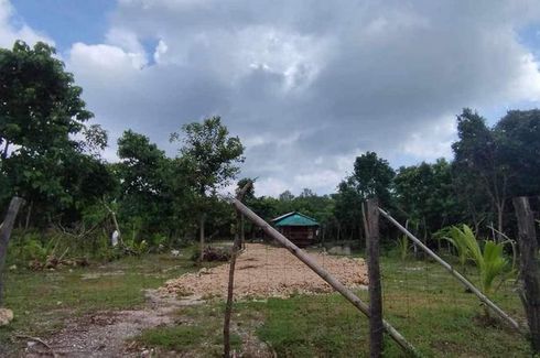 Land for sale in Imbo, Pangasinan