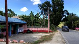 Commercial for sale in Dao, Bohol