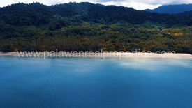 Land for sale in Cabayugan, Palawan