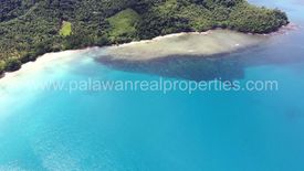 Land for sale in Cabayugan, Palawan