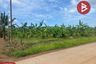 Land for sale in Yai Ra, Chanthaburi