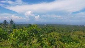 Land for sale in Mantija, Cebu