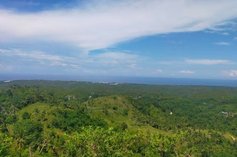 Land for sale in Mantija, Cebu