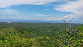 Land for sale in Mantija, Cebu