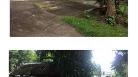 Commercial for sale in Bgy. 38 - Gogon, Albay