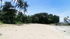 Land for sale in Tapilon, Cebu