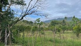 Land for sale in Santo Toribio, Batangas