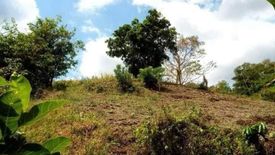 Land for sale in Santo Niño, Bataan
