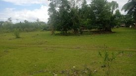 Land for sale in Tangnan, Bohol