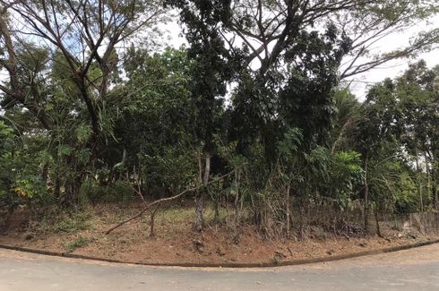 Land for sale in San Guillermo, Rizal