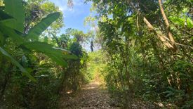 Land for sale in Karon, Phuket