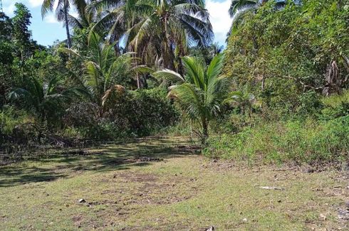 Land for sale in Jimilian, Bohol
