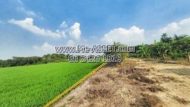 Land for sale in Maha Sawat, Nakhon Pathom