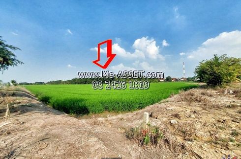 Land for sale in Maha Sawat, Nakhon Pathom