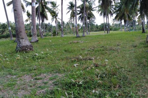 Land for rent in Cansayahon, Cebu