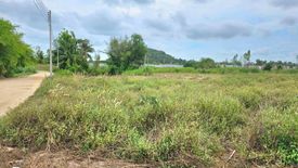 Land for sale in Nong Prue, Chonburi