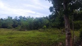 Land for sale in Dao, Bohol