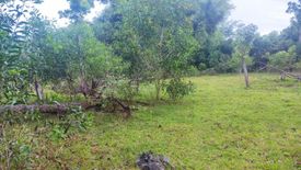 Land for sale in Dao, Bohol