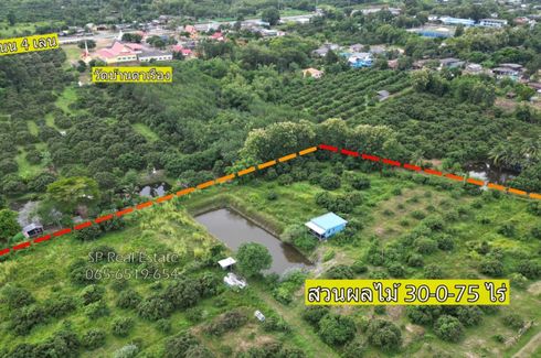 Land for sale in Patong, Chanthaburi