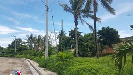 Land for sale in Pajo, Cebu