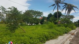 Land for sale in Pajo, Cebu