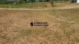 Land for sale in Tunga-Tunga, Negros Oriental