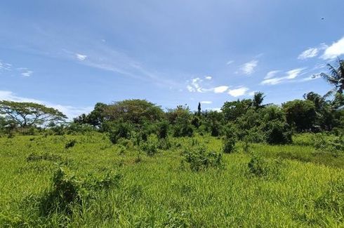 Land for sale in Tiwi, Iloilo