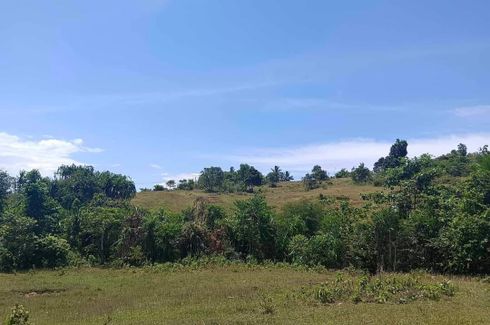 Land for sale in Sam-Ang, Cebu