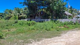 Land for sale in Tambisan, Siquijor