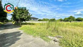 Land for sale in San Isidro, Pampanga