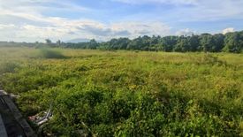 Land for sale in Chai Sathan, Chiang Mai