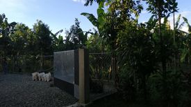 Land for sale in Nangka, Cebu